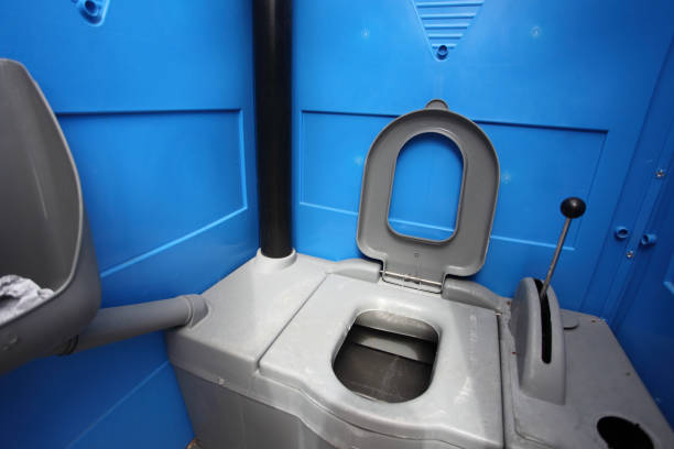Best Portable Toilets with Baby Changing Stations  in Le Sueur, MN